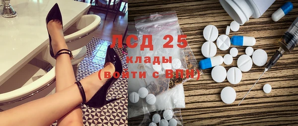 спайс Бородино
