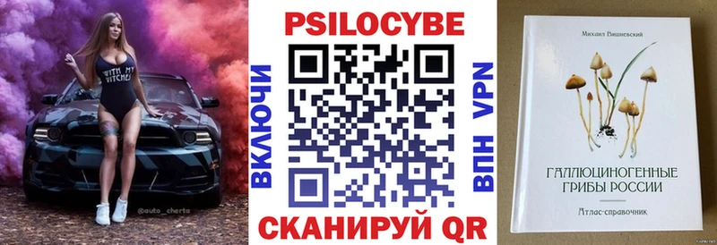 Псилоцибиновые грибы ЛСД  Купить где  Каменка 