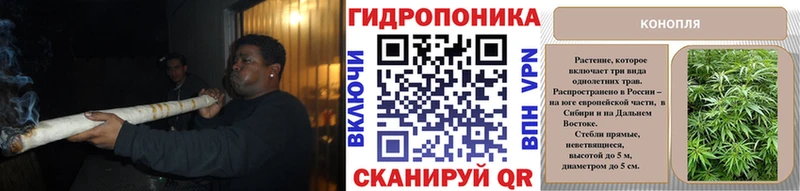 Конопля индика  Купить  Каменка 